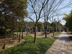 -上海中医药大学附属曙光医院(东部)