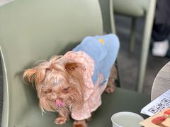 -gaga(金光华店)