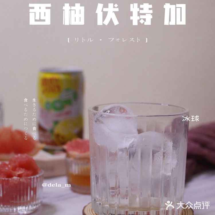 夏日特饮之旅⑨|微醺状态更美好|西柚伏特加