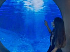 -贝林大翅鲸简餐厅(国家海洋博物馆店)