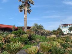 -Cafe Aewol Monsant