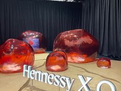 -精绝七日-新疆尼雅遗址数字大展【拉法耶文化艺术中心】