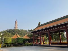 -顺峰山公园