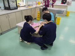 -北京观赏动物医院·24小时大型综合·猫专科·异宠专科