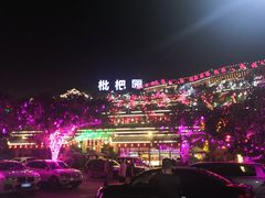 -枇杷园食为鲜火锅(南山店)