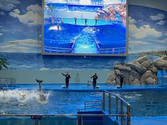 -福州罗源湾海洋世界旅游区