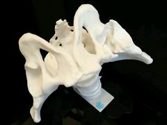 -优速得3D打印店(朝阳店)