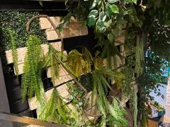 -阿记烧烤(大兴新区店)