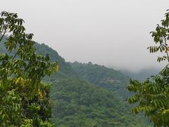 -广州市流溪河国家森林公园