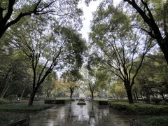 -木塔寺遗址生态公园