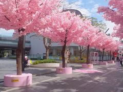 -东莞松山湖万象汇