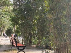 -西南交通大学(九里校区)