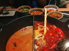 -大龙燚·旷野鲜火锅(广州首店)