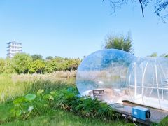 -Supine Bistro溯泮餐厅