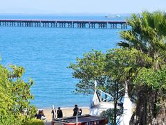 -巨鹏飞梦幻海岸