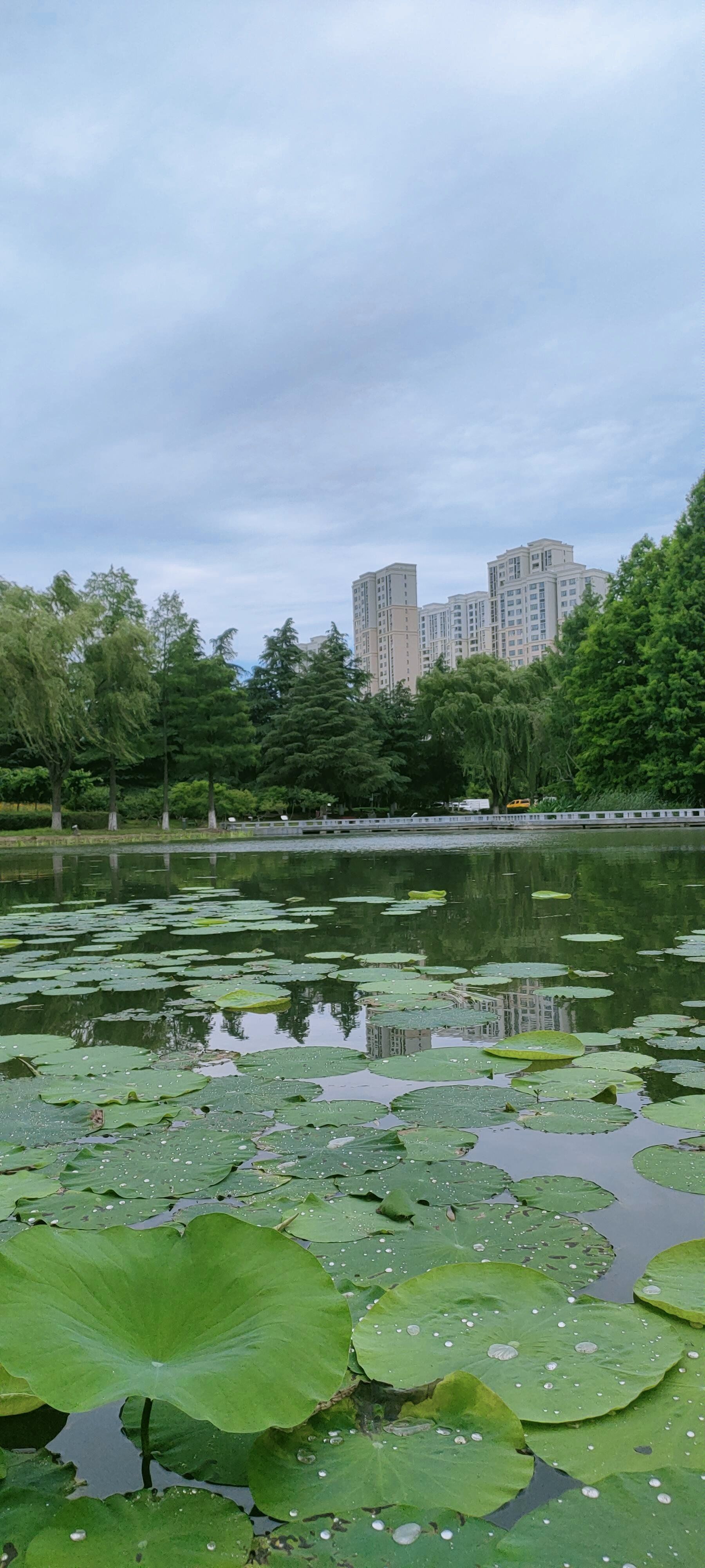 苏州工业园区的白塘公园是占地60.