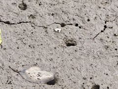 -东寨港红树林旅游区