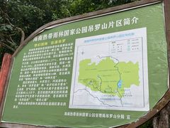 -海南热带雨林国家公园吊罗山景区