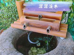 -小茶闲舍·观景商务茶馆(广州塔店)