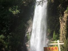 -莫里热带雨林景区