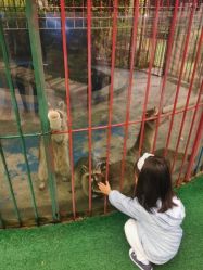 -萌宠亲子动物乐园(槐房万达店)