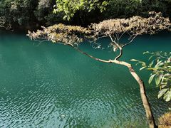 -鼎湖山风景区