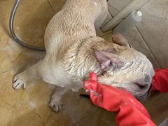 -美联众合动物医院·24h京西诊疗中心