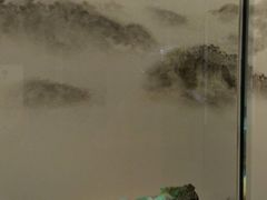 -绮丽珊瑚博物馆(台东店)
