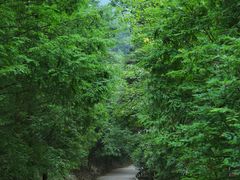 -崇州九龙峡漂流
