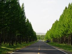 -乌兰布统草原
