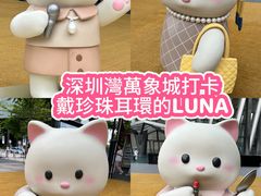 -深圳湾万象城(南山店)