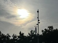 -海合安青岛极地海洋公园