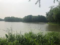 -尚贤河湿地