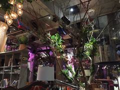 -范设计花园餐酒咖·中西餐·咖啡厅·酒馆