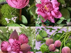 -溪岸路花鸟市场