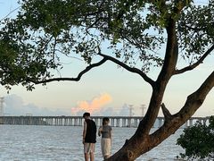 -宝安西湾红树林湿地公园