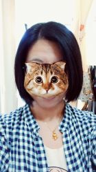 波波头-四联美发