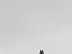 -田德能咖啡博物馆