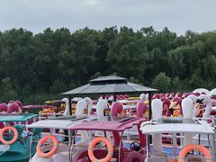 -大兴滨河森林公园