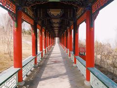 -兰山公园