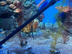 -上海海洋水族馆