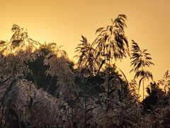 -西溪天堂·悦居