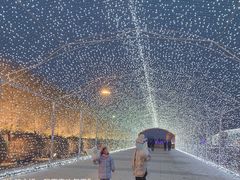 -长春世界雕塑园冰雪艺术天地