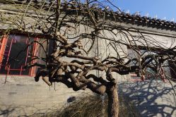 -北京郡王府饭店·宴会厅