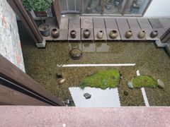 -几荷·恰似故人来(秀水广场店)