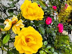 -缘福乡村铁锅炖民宿(八达岭店)