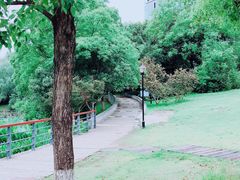 -月湖风景区