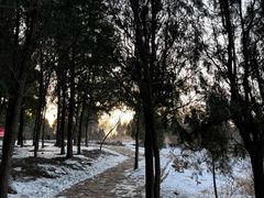 -龙洞风景区-藏龙涧