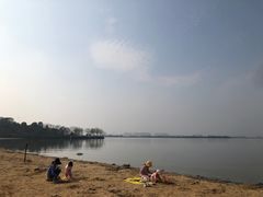 -瑶湖郊野森林公园