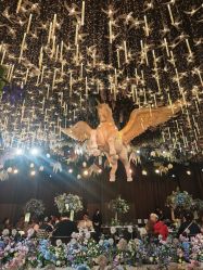 -花嫁丽舍婚礼殿堂(世博江景店)